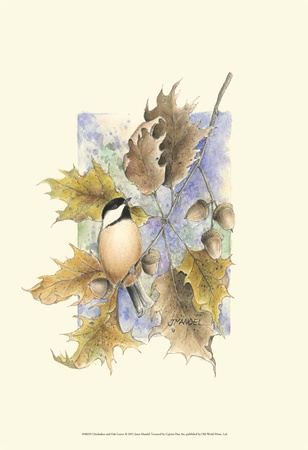 Chickadee and Oak Leaves Print Chickadee and Oak Leaves Print