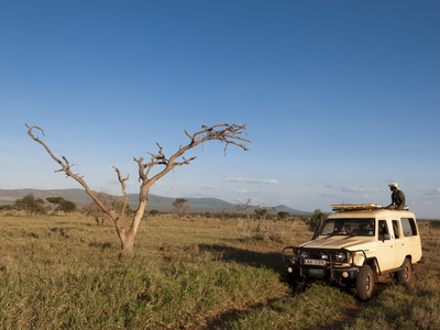 Lualenyi Game Reserve, Kenya, East Africa, Africa Stretched Canvas Print