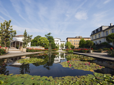 Botanical Gardens, Bonn, North Rhineland Westphalia, Germany, Europe Stretched Canvas Print