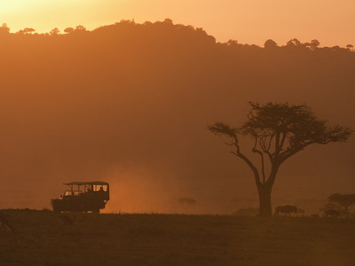 Masai Mara, Kenya, East Africa, Africa Stretched Canvas Print