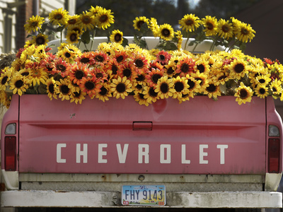 Chevrolet Stretched Canvas Print