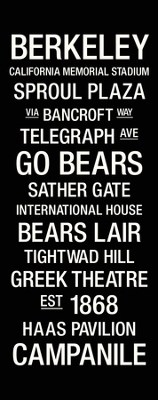 Cal: College Town Wall Art Stretched Canvas Print