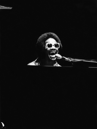 Stevie Wonder Stretched Canvas Print