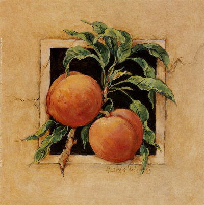 Peach Square Print Peach Square Print