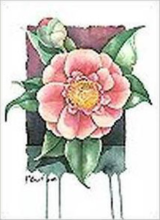 Camellia Print Camellia Print