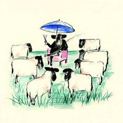 Blackfaced Sheep Print Blackfaced Sheep Print