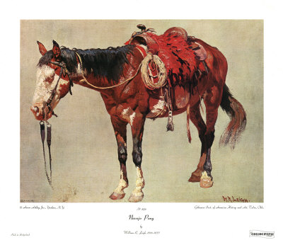 Navajo Pony Print Navajo Pony Print