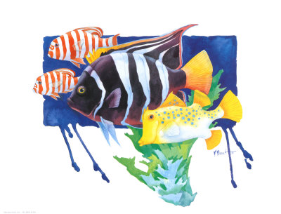King Angel Fish Print King Angel Fish Print