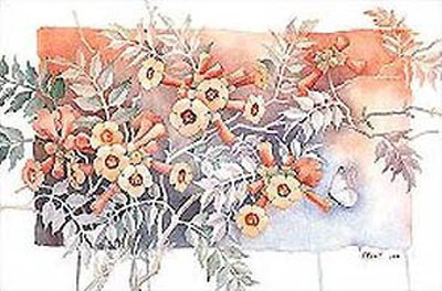 Trumpet Vine Print Trumpet Vine Print