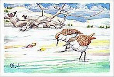Driftwood Sandpipers Print Driftwood Sandpipers Print