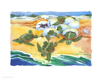 Turtle Nestings Print Turtle Nestings Print