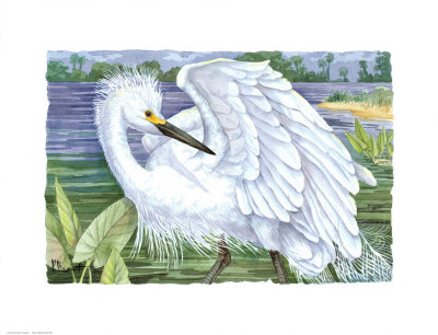 Snowy Egret Print Snowy Egret Print