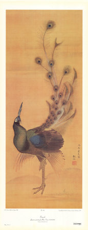 Peacock Print Peacock Print