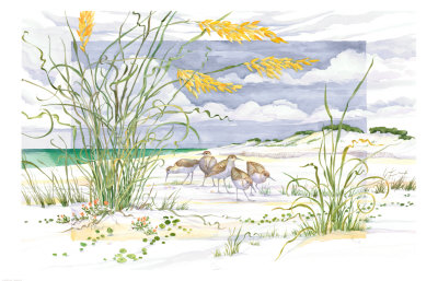 Sandpiper Dunes Print Sandpiper Dunes Print