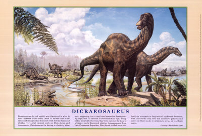 Dicraeosaurus Dinosaurs Poster Dicraeosaurus Dinosaurs Poster