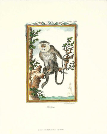 Monkey, Mona Print Monkey, Mona Print