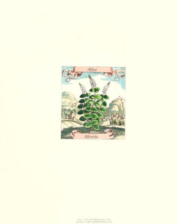 Mint Print Mint Print