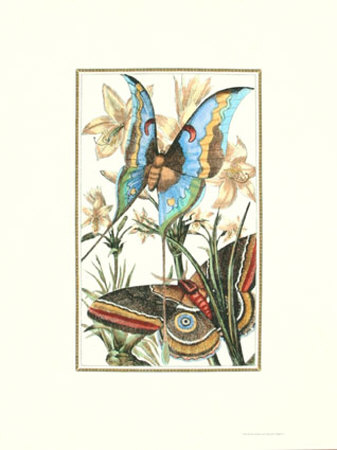 Butterfly I Print Butterfly I Print