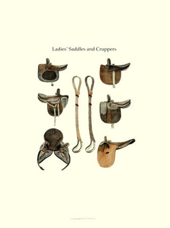 Ladies' Saddles Print Ladies' Saddles Print