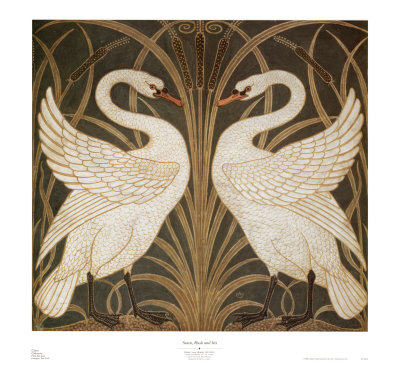 Swan Rush and Iris Print Swan Rush and Iris Print