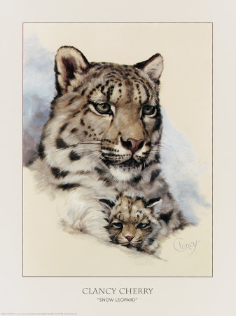 Snow Leopard Print Snow Leopard Print