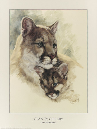 Snuggler Print Snuggler Print