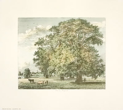 Strutt Trees Print Strutt Trees Print