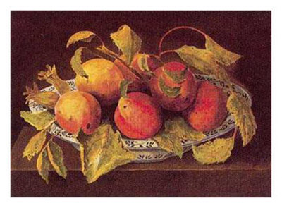 Tuscan Fruit, Apricots Print Tuscan Fruit, Apricots Print