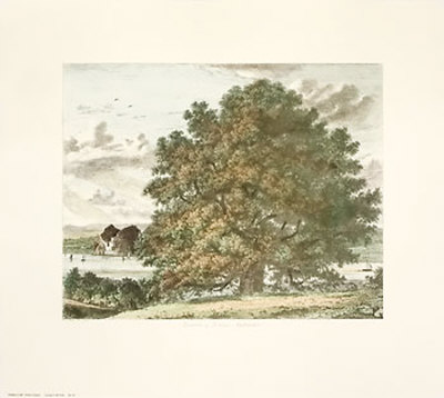 Strutt Trees Print Strutt Trees Print