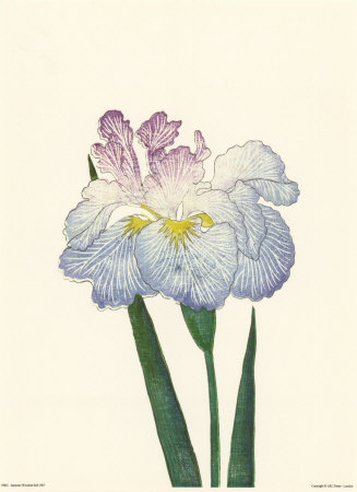 Woodcuts Irises Print Woodcuts Irises Print