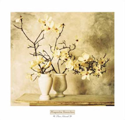 Magnolia Branches Print Magnolia Branches Print