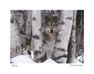 Mountain Ranger Print Mountain Ranger Print