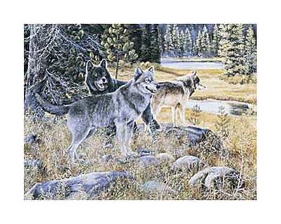 Mixed Company Print Mixed Company Print