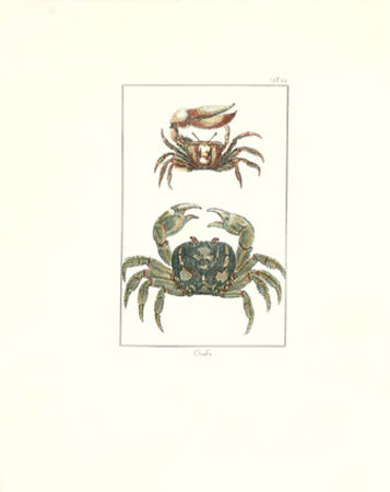Crabs I Print Crabs I Print