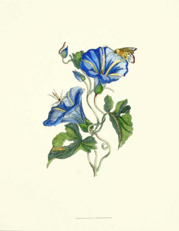 Garden Treasures II Print Garden Treasures II Print