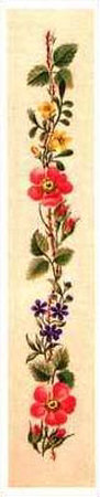 String of Roses II Print String of Roses II Print