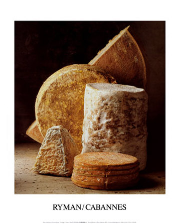 Cheese Print Cheese Print