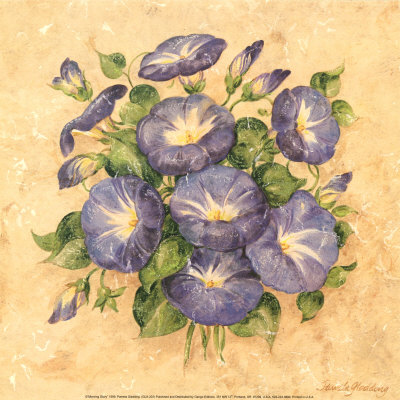 Morning Glory Print Morning Glory Print