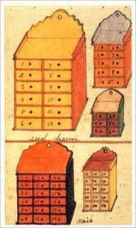 Seed Drawer and Boxes Print Seed Drawer and Boxes Print