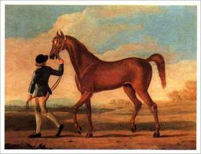 Racehorse Regulus Print Racehorse Regulus Print