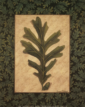 Oak Leaf Print Oak Leaf Print