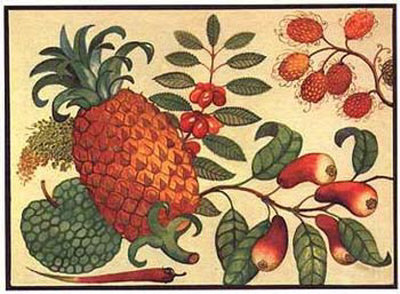 Pineapple Print Pineapple Print