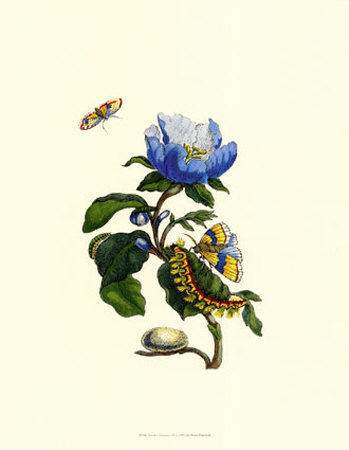 Garden Treasures VII Print Garden Treasures VII Print