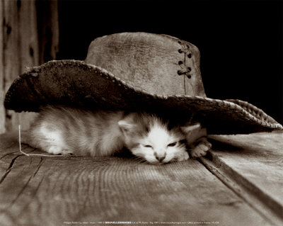 Sieste Print Sieste Print
