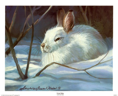 Snow Baby Print Snow Baby Print