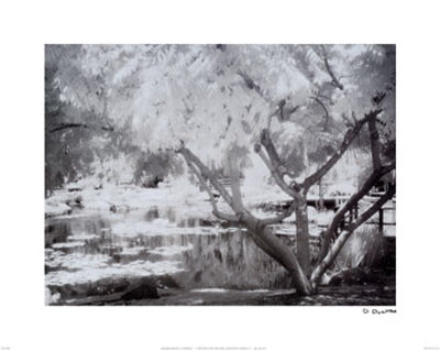Japanese Garden Print Japanese Garden Print