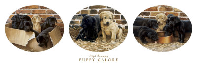 Puppy Galore Print Puppy Galore Print