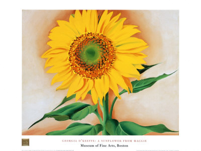 Sunflower Print Sunflower Print
