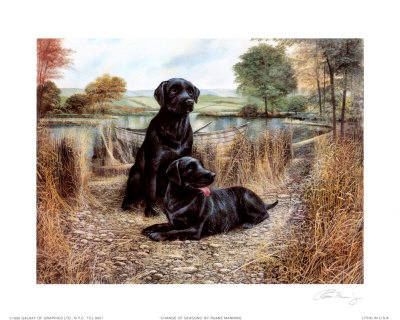 Change of Seasons Print Change of Seasons Print