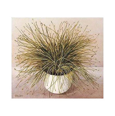 Bare Grass I Print Bare Grass I Print